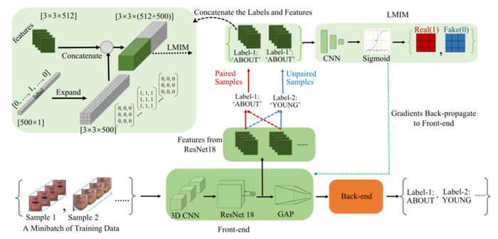 【雷锋网注:LMIM 训练基础网络】