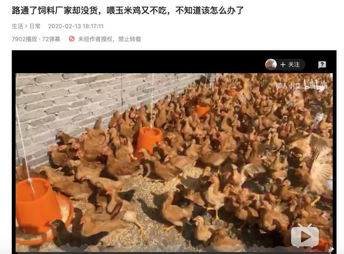 B站up主@鄂人小艾视频截图。