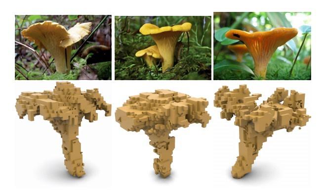 微软AI模型生成的3D蘑菇图像