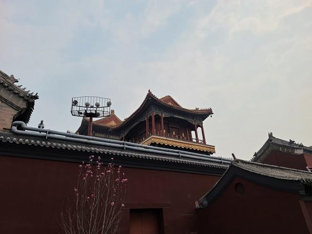 逆光环境拍摄