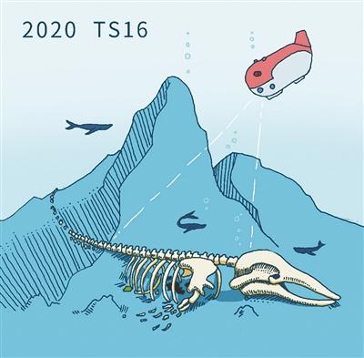 插图:梁振奇(海南热带海洋学院)