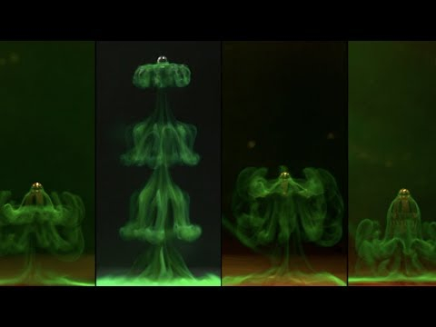 以钵水母碟状幼体为灵感的软体机器人。图片来源:《自然通讯》