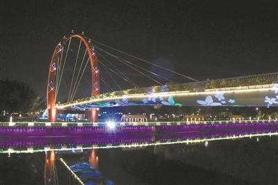 江门蓬江河夜景五光十色。通讯员江轩摄