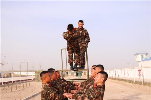 信任背摔