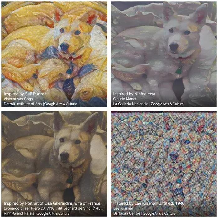 TheVerge 编辑 Kim Lyons 分享的爱犬照片示例