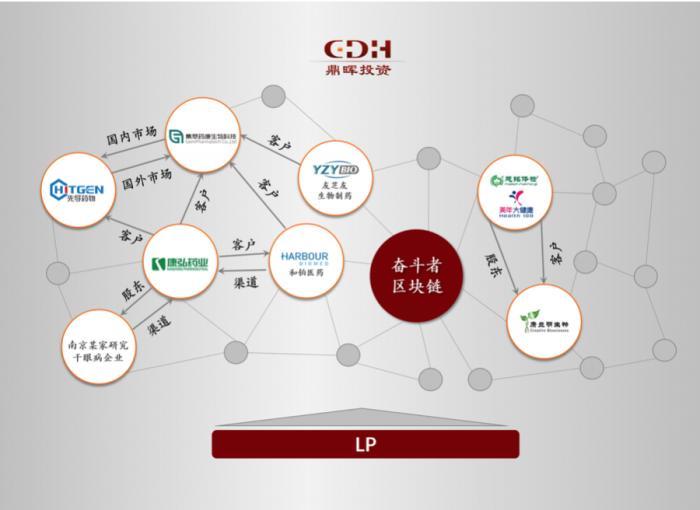 (图:鼎晖VGC医疗板块投资)