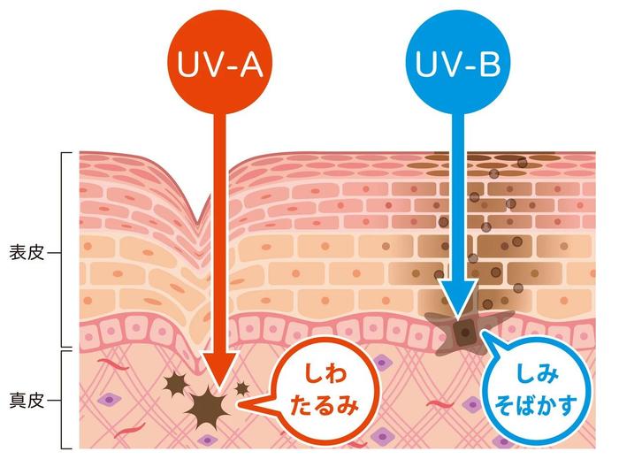 阳光中UVA+UVB对皮肤的伤害