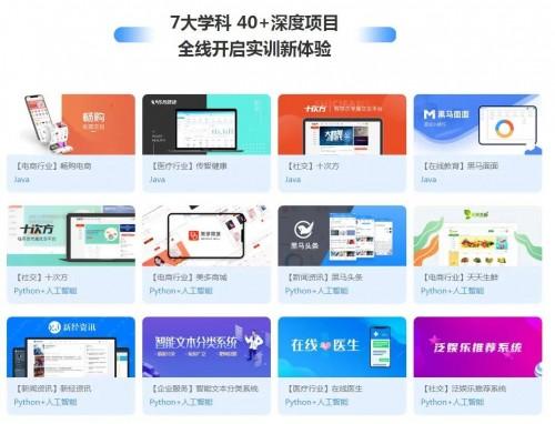 图:实训项目库部分项目展示
