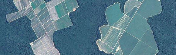 玛瑙斯市北部非法砍伐。图片来源:Google earth