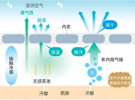 图:衣物与肌肤之间空气层示意