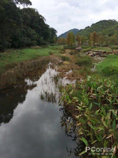 原图
