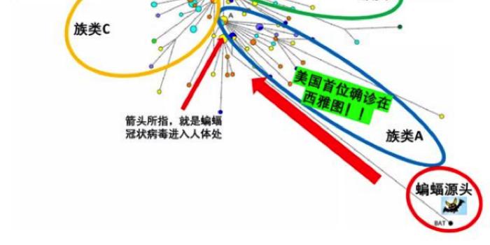 新冠病毒到底来自哪里多国研究均指出并非中国传入