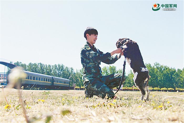 训练间隙与警犬玩耍时的阳光可爱。杨志毅 摄
