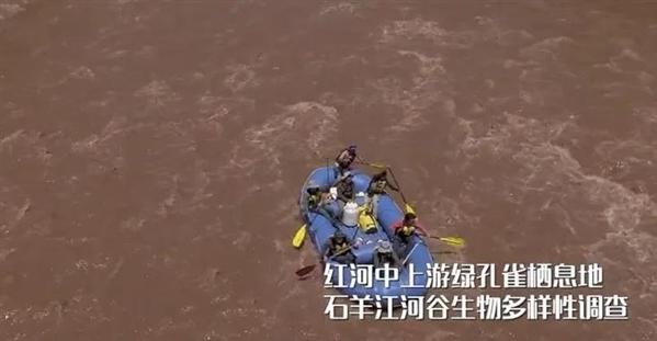 自然之友供图