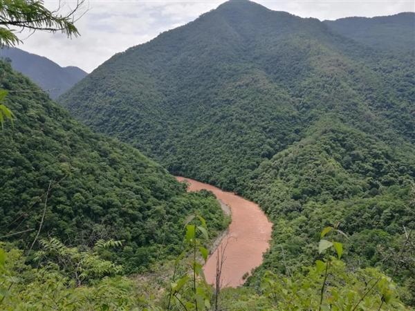 石羊江河谷的绿孔雀栖息地 顾伯健供图