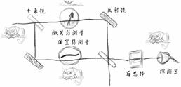 图1.“量子柴郡猫”示意图
