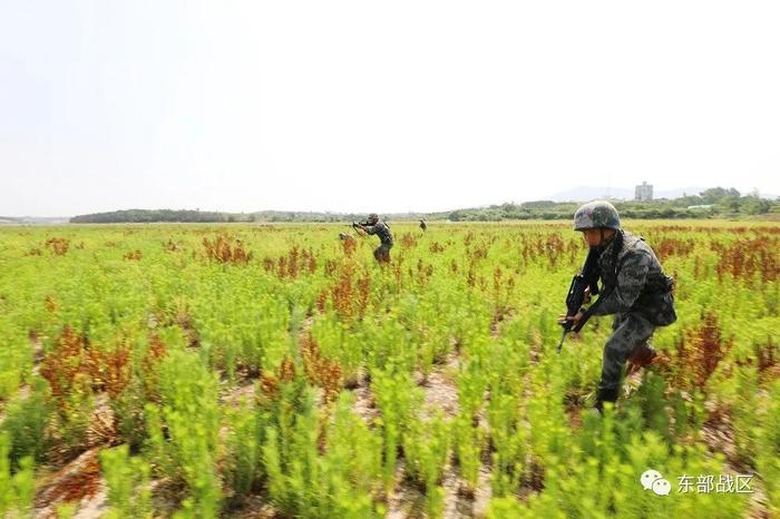 ▲步兵班协同进攻。