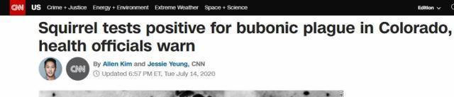 CNN报道截图
