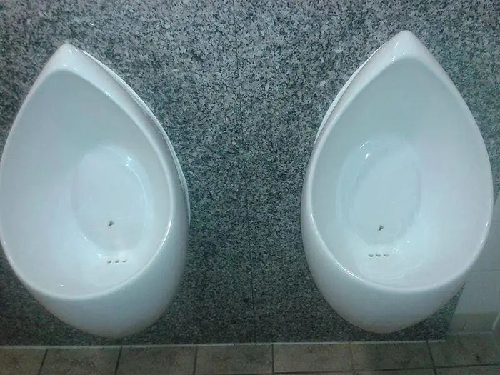 图2:苍蝇是画上去的 | 图片来源:wikipedia.org