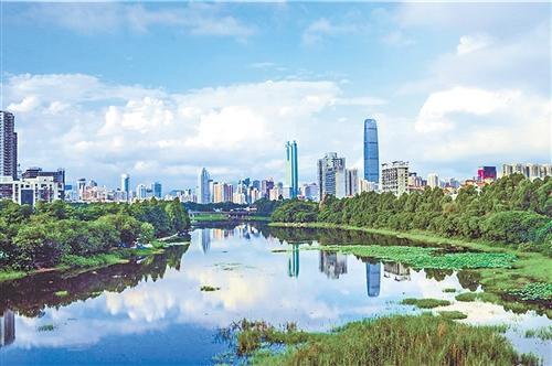 图为深圳罗湖城区优美的生态环境。廖俊鸿摄(中经视觉)
