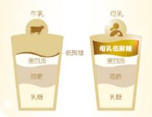 HMO配方:HMO天然存在于母乳之中