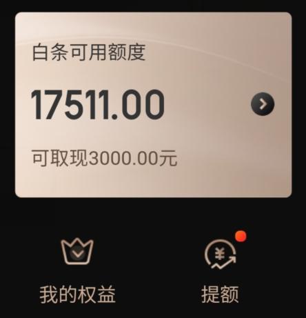 (京东白条额度界面)