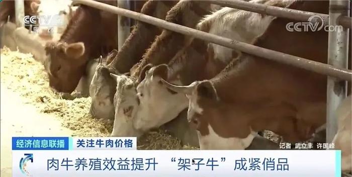 图片来源:央视财经