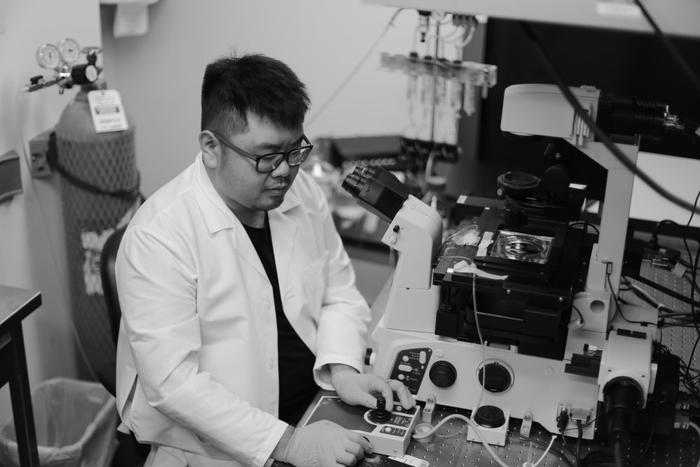 本文文章插图来源于BrainCo、壹图网,经授权使用