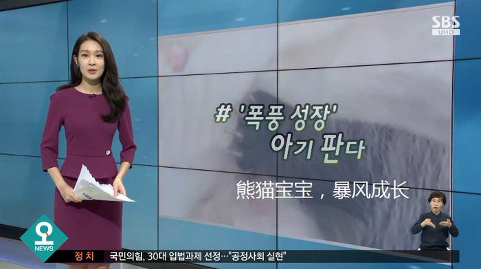 韩媒报道截图(SBS电视台)
