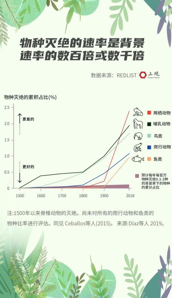 挽救大熊猫和扬子鳄的成就为什么对全世界有意义，这张生物灭绝时间图了解下