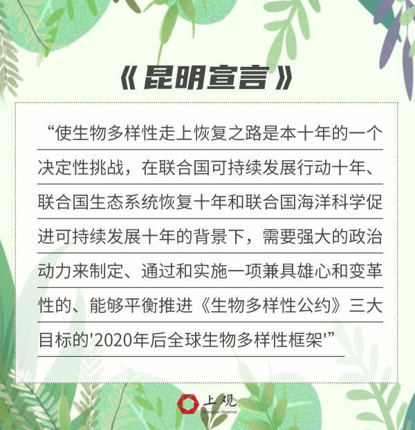 挽救大熊猫和扬子鳄的成就为什么对全世界有意义，这张生物灭绝时间图了解下