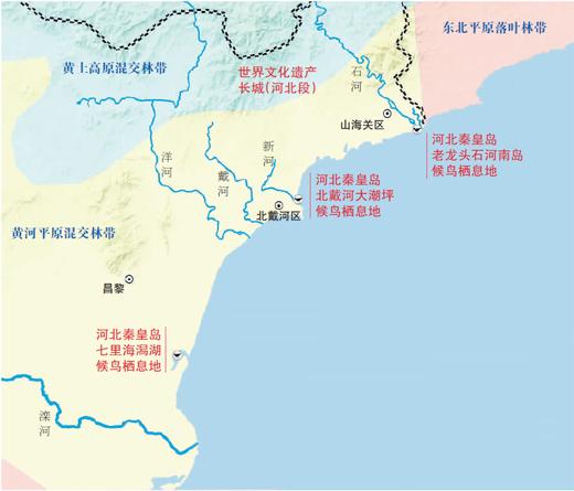 秦皇岛地区重要候鸟栖息地及地理环境示意图。 (制图:顾燚芸 底图来源:国家地理信息公共服务平台)