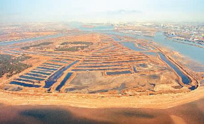 生态修复项目实施后,石河南岛候鸟停歇数量快速回升至工程前水平,珍稀濒危鸟类数量明显增长。 生态岛礁刚刚完工的场景。 刘学忠摄