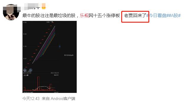 19万股东沸腾！退市的乐视网突然火了，连拉15个涨停，网友：不会上第二次当