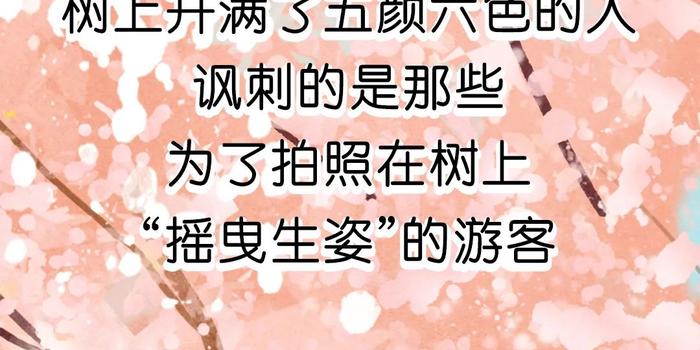 芭啦芭啦樱之花曲谱图片_芭啦芭啦樱之花