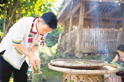 赵腊退将酸茶倒入竹筒准备发酵。 杨帮庆摄