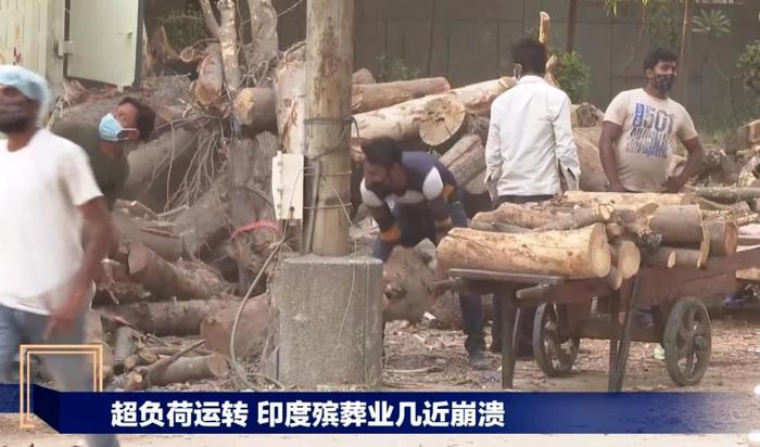 △多个火葬场需要大量伐木,获得木柴,继而火化尸体