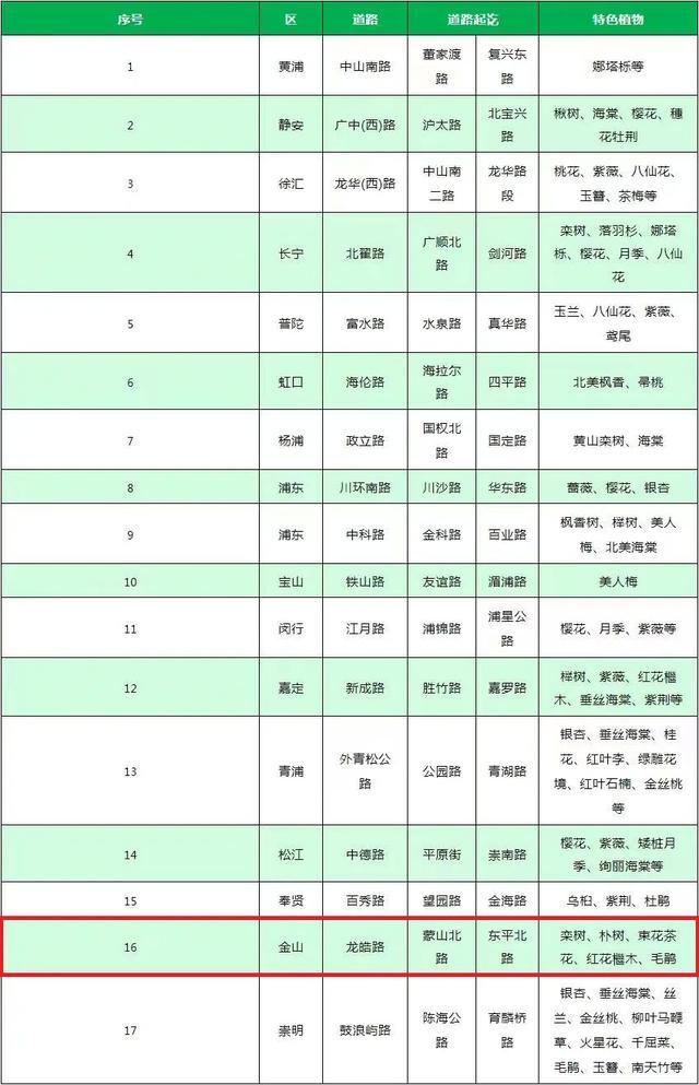 金山新增一条上海市绿化特色道路！快来看看是哪条路吧