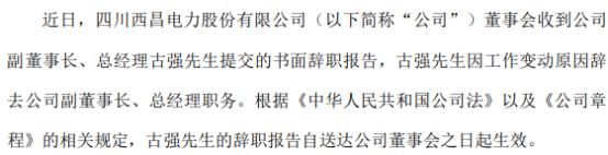 西昌电力副董事长古强辞职 2020年薪酬为71.5万