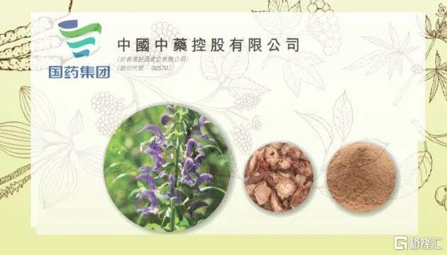 政策加码支持中医药，港股中有哪些标的？