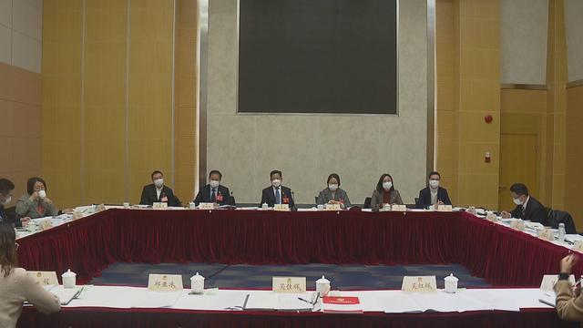 区政协七届一次会议举行分组会议 讨论“两院”工作报告