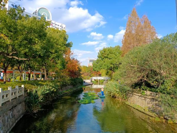 从真如古镇到曹杨新村，兰溪路串起了记忆