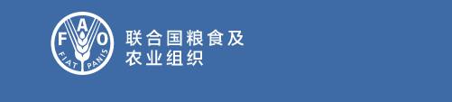 联合国粮农组织：植物油和糖价下跌 12月全球食品价格下跌