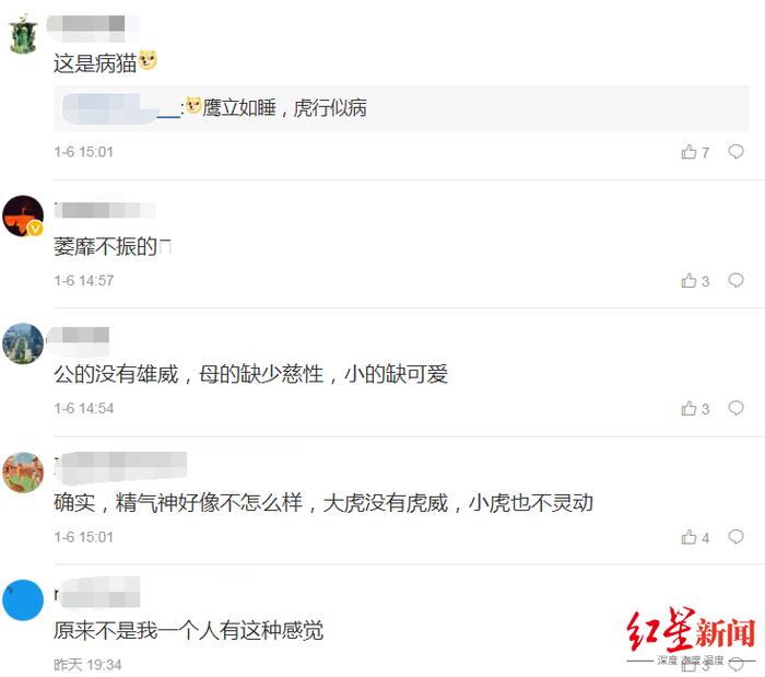 ▲网友评论