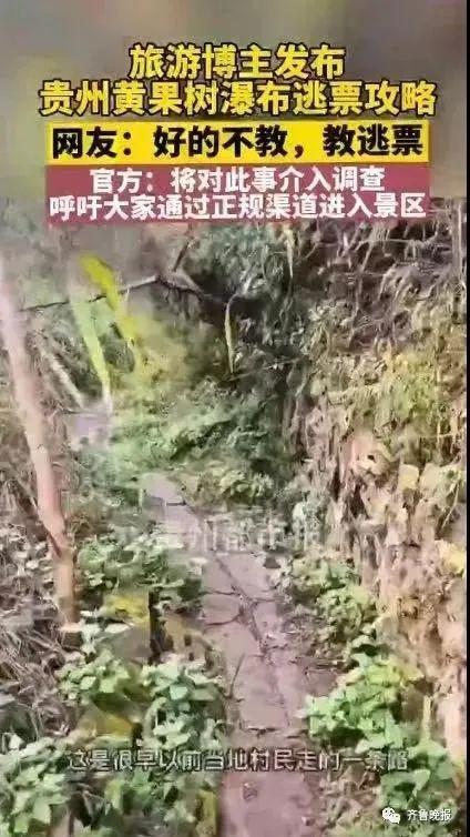 又有旅游博主发布景区“逃票”攻略？众网友谴责，相关部门已调查