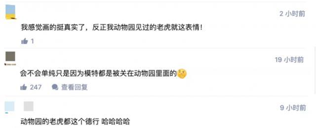 网友评论截图