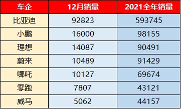 特斯拉是2022年“首选股票”？蔚小理们可不答应