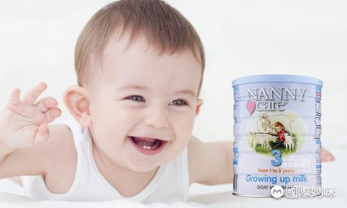 婴儿奶粉大品牌汇总，全球婴儿奶粉排行榜前十