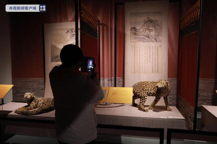 真“神兽”来了！“清宫兽谱”展开幕，这些动物你都认识吗