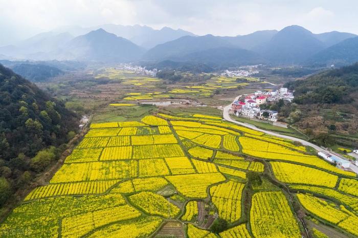 辽宁：重点支持在农村、废弃矿区等地利用闲置土地、荒坡、设施农业等发展光伏